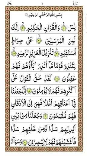 Скриншот 1 — Surah Yaseen