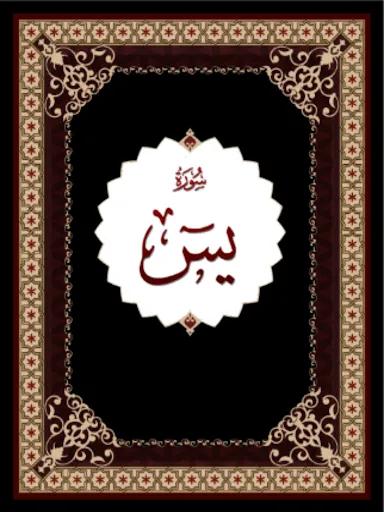 Скриншот 3 — Surah Yaseen