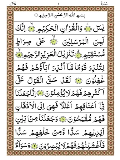 Скриншот 4 — Surah Yaseen