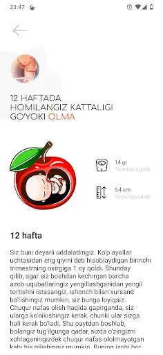 Скриншот 3 — Homiladorlik davri