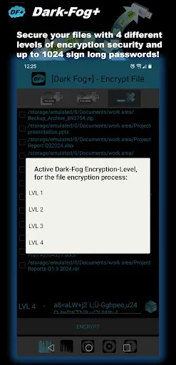 Скриншот 2 — DarkFog+ |Easy File Encryption