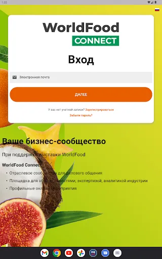 Скриншот 4 — WorldFood Connect