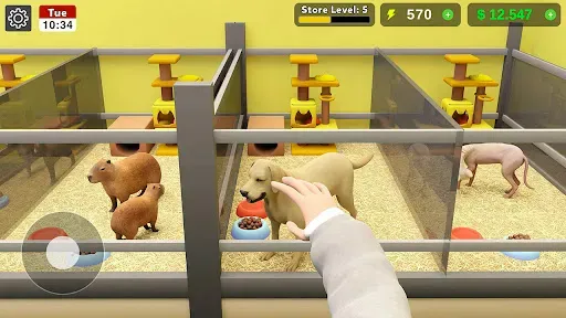 Скриншот 4 — Pet Shop Manager Simulation