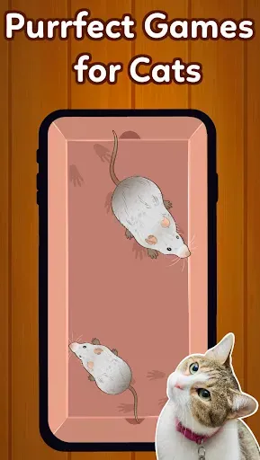 Скриншот 2 — Игры для кошек