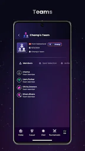 Скриншот 5 — Bridge Champ