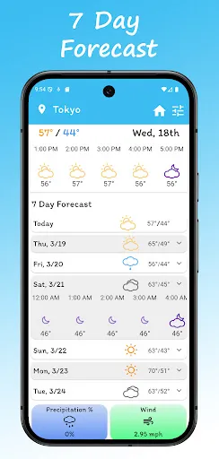 Скриншот 5 — Froggy Weather