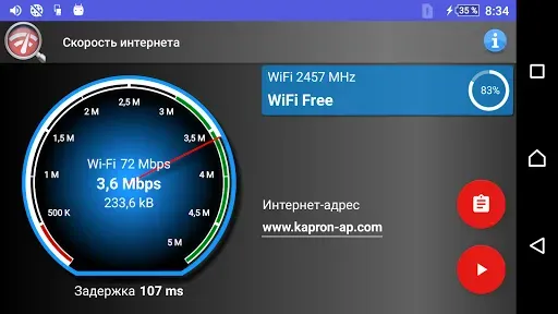 Скриншот 4 — Фактическая скорость интернет