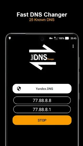 Скриншот 3 — Быстрый DNS Changer