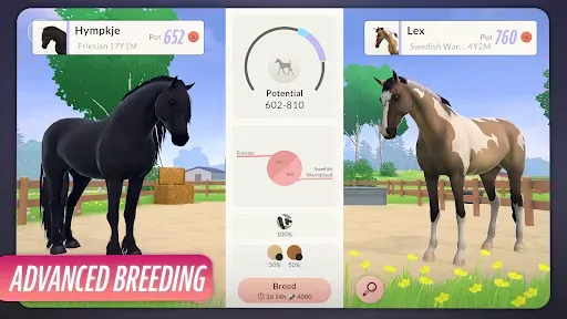 Скриншот 5 — Equestrian the Game