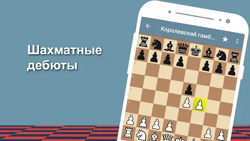 Скриншот 7 — Шахматный тренер
