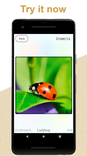 Скриншот 4 — Flashcards for kids: Animals