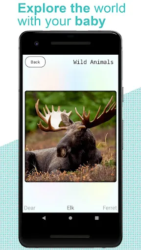 Скриншот 5 — Flashcards for kids: Animals