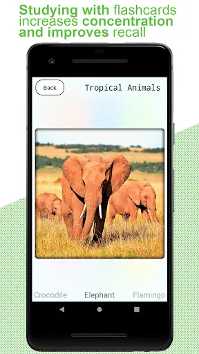 Скриншот 6 — Flashcards for kids: Animals