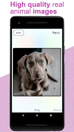 Скриншот 7 — Flashcards for kids: Animals