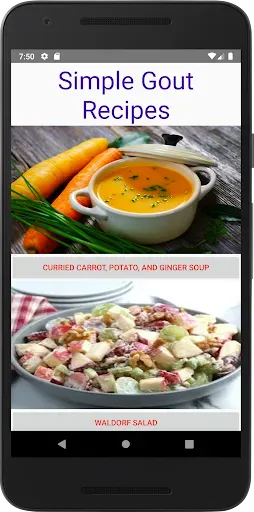Скриншот 2 — Gout Recipes