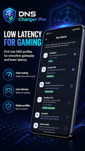 Скриншот 2 — DNS Changer Pro