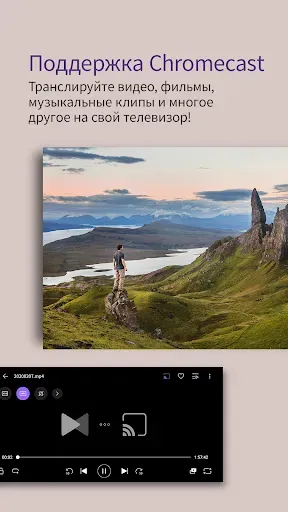 Скриншот 4 — KMPlayer Plus (Divx Codec)