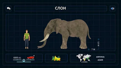 Скриншот 5 — Дикие животные 3D Cафари