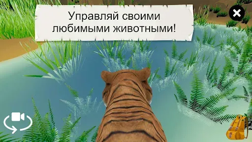 Скриншот 6 — Дикие животные 3D Cафари