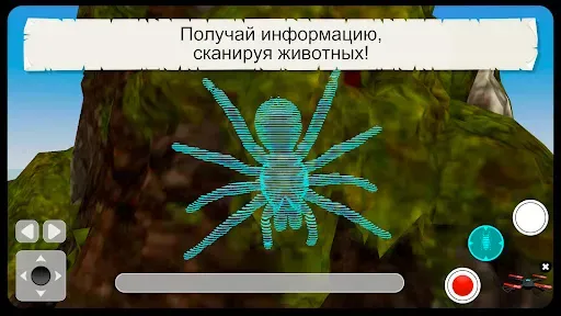 Скриншот 4 — Насекомые и пауки VR/AR игра