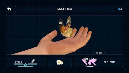 Скриншот 5 — Насекомые и пауки VR/AR игра