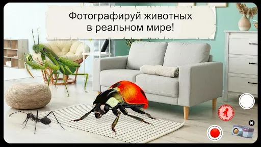 Скриншот 8 — Насекомые и пауки VR/AR игра