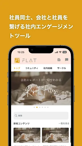 Скриншот 1 — FLAT