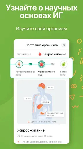 Скриншот 4 — Kompanion: трекер голодания