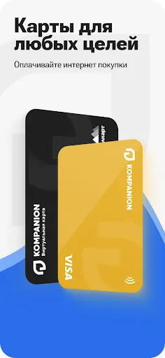 Скриншот 1 — Компаньон
