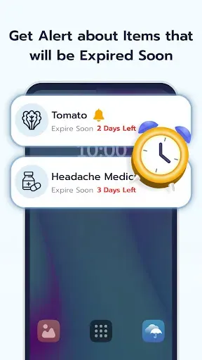 Скриншот 3 — Expiry Date Alert & Reminder