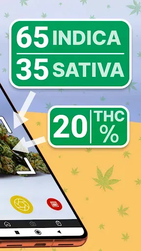 Скриншот 2 — Kush Scan: Cannabis Strains ID
