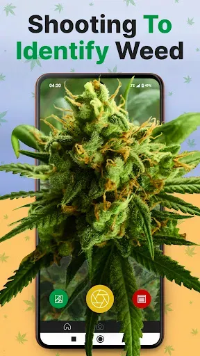 Скриншот 4 — Kush Scan: Cannabis Strains ID