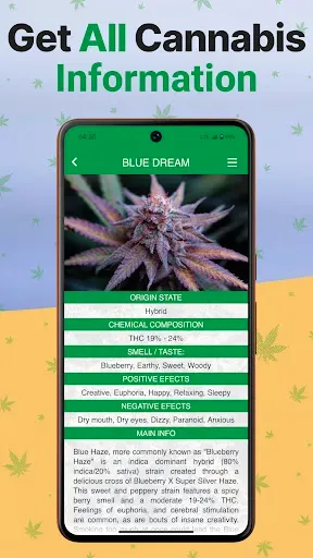 Скриншот 6 — Kush Scan: Cannabis Strains ID