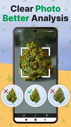 Скриншот 7 — Kush Scan: Cannabis Strains ID