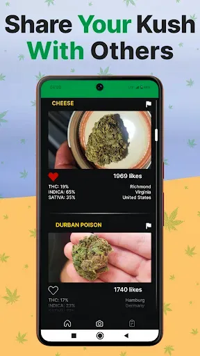 Скриншот 8 — Kush Scan: Cannabis Strains ID