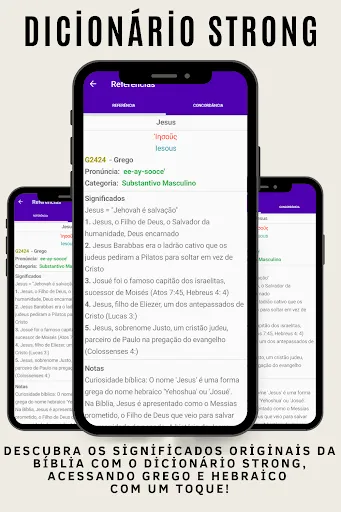 Скриншот 4 — Bíblia Strong (Português)