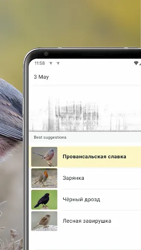 Скриншот 2 — Merlin Bird ID by Cornell Lab