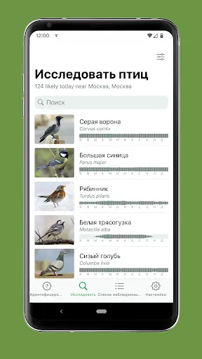 Скриншот 3 — Merlin Bird ID by Cornell Lab