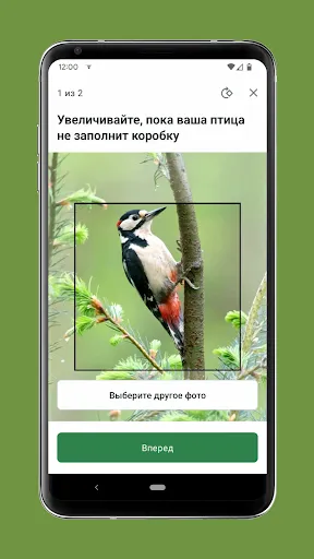 Скриншот 7 — Merlin Bird ID by Cornell Lab