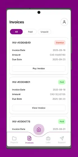 Скриншот 2 — 247Labs Projects