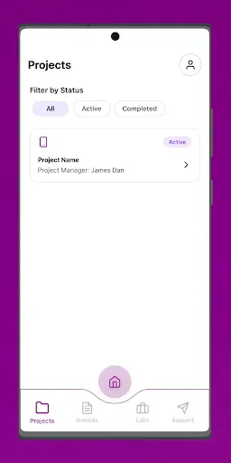Скриншот 3 — 247Labs Projects