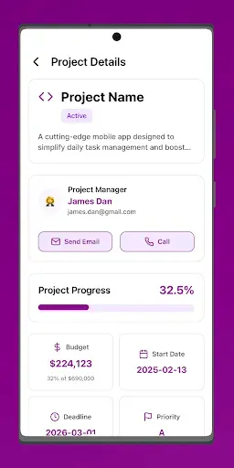Скриншот 4 — 247Labs Projects