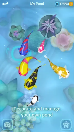 Скриншот 5 — Zen Koi 2
