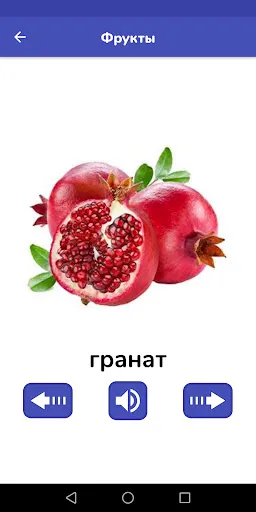 Скриншот 5 — Русский для детей