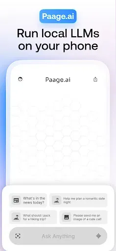 Скриншот 1 — Paage.ai