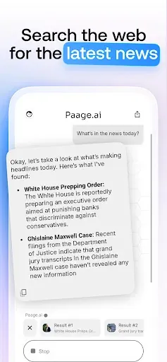Скриншот 2 — Paage.ai