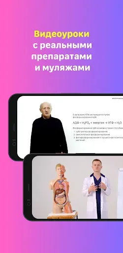 Скриншот 7 — Учи Мед (Учи Анат)