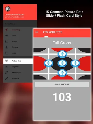 Скриншот 2 — Learning To Deal Roulette LTD