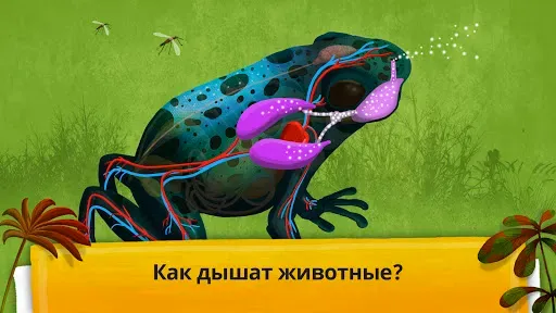 Скриншот 3 — Как устроен организм животных?