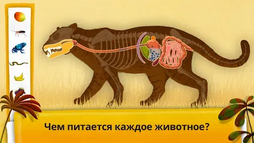 Скриншот 5 — Как устроен организм животных?